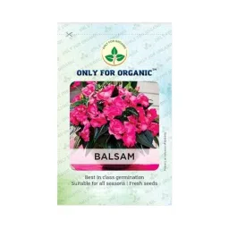 Only For Organic 50g Balsam Flower Seeds, OFOPPBAL0050-image-72