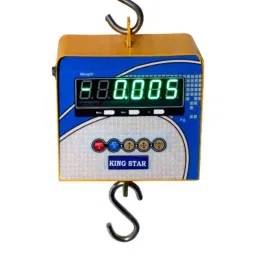 Kingstar 120kg Heavy Duty Weighing Hanging Scale-picture-4