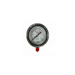 Bellstone 0-200 psi Pressure Gauge, BO-200-PSI-48