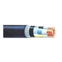 Havells 2.5 Sqmm Double Core Armoured Low Tension Control Cable, 2XWY/2XFY, Length: 100 m-picture-48
