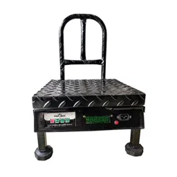 Equinox 14x14 inch 100kg Mild Steel Digital Weighing Scale with 10g Accuracy, BS350KDLMS-78