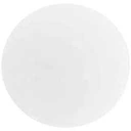 Whatman 19mm Polycarbonat Nuclepore Membrane, 800309-20