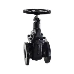 Zoloto 50mm Cast Iron PN 1 Flanged Sluice Valve, 1079A-8
