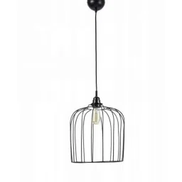 Tucasa Iron Bird Cage Pendent Light with Black Shade, HG-13-image-3