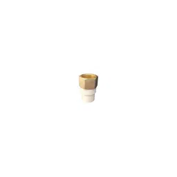 Astral Female Adapter Brass Threads, Size: 25 mm (Pack of 50)-image-99