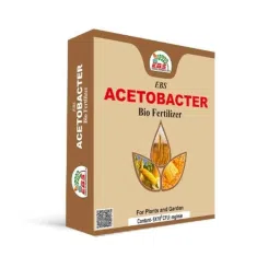 EBS 1kg Acetobacter Bio Fertilizer Powder for Plants, Crops, Home Garden &a; Nursery (Pack of 10)-image-23
