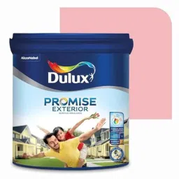 Dulux Promise 20 Litre Cotton Candy Pink Gloss Finish Exterior Acrylic Emulsion Paint, F2B8BB_20L-picture-46