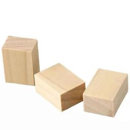 Lab Plus Paraffin Wood Block, LP-12861 (Pack of 100)-11