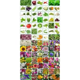Aero Seeds 150g 45 Varieties Vegetable &a; 45 Varieties Flower Seeds Combo, Aero-45+45-image-77