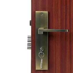 Handle Waala LB306 10 inch 60mm Stainless Steel Antique Brass Finish Cylindrical Plate Both Side Key Mortise Door Lock Set-picture-24