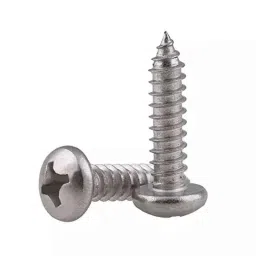 Rpi Shop M3x10mm Philips Nickel Coated Self Tapping Screw (Pack of 500)-picture-19