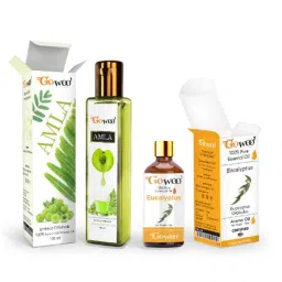 GoWoo 2 Pcs 10ml Natural Eucalyptus Aroma Oil &a; 100ml Amla Carrier Oil Set, GWOC515-P19+P165-picture-13