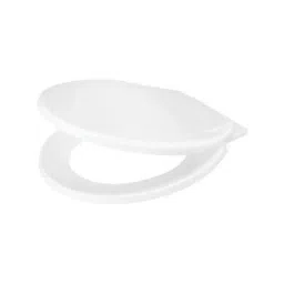 Somany Compact Soft Close Seat Cover-image-66
