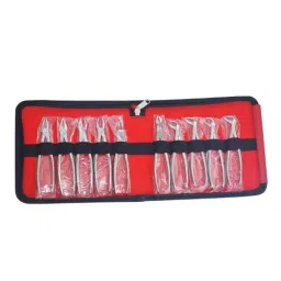 Forgesy GSS84 10 Pcs Stainless Steel Dental Forcep Extraction Kit-image-91