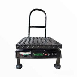 Equinox 16x16 inch 150kg Mild Steel Digital Weighing Scale with 20g Accuracy, BS400KDLMS-79