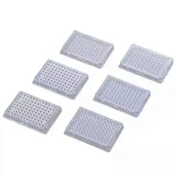 Lab Plus Ferrite Magnets Flux 130 mT, LP-4147 (Pack of 5)-15