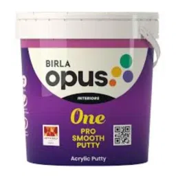 Birla Opus 1kg Acrylic White One Pro Smooth Putty-picture-49