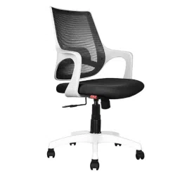 Rose Mono Mesh White &a; Black Medium Back Revolving Ergonomic Office Chair-image-75