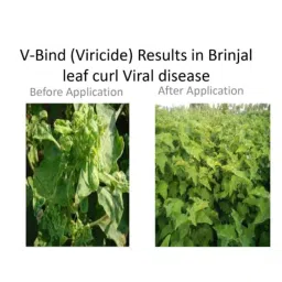 Vanproz V-Bind Virucide 250ml Insecticide image 3