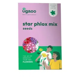Ugaoo 500g Flower Star Phlox Mix Seeds, NUFSO0111-picture-6