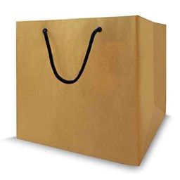 PRB Bags GPB201 Brown Kraft Paper Shopping Bag (Pack of 10)-image-24