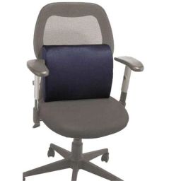 Flamingo Blue Small Foam Back Rest-31