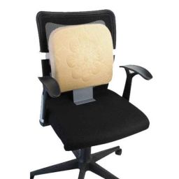 Flamingo Beige Memory Foam Back Rest with Stand-35