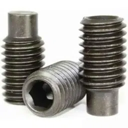 TVS Metric Series M5 Dog Point Socket Set Screw, Length: 16mm (Pack of 100)-picture-47