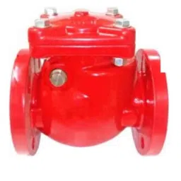 Lehry Valves 65mm Ductile Iron Flanged End Swing Check Valve, LIV-CHK-DI-DFM-001-image-31