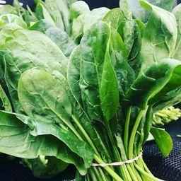 Only For Organic 50g Spinach 500 Seeds for Home Gardening, FK-T1S9-5W6Y-image-68