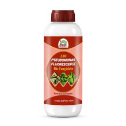 EBS 1 Litre Pseudomonas Fluorescence Bio Fungicide for Controlling Diseases Like Root Rot, Stem Rot, Collar Rot on All Crops-picture-0