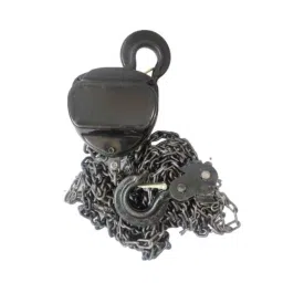 Boltz HSZ-C 1 Ton 6m Galvanized Chain Pulley Block with 6 Months Warranty-picture-34
