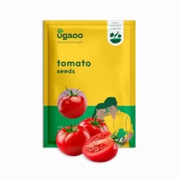 Ugaoo 25gFruit Tomato Seeds, NUVSO337-picture-18