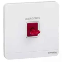 Schneider Electric AvatarOn E8331KPB_WE 1 Gangs 3A Panic Button with Key Reset White-picture-22