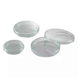 Lab Plus Standard Petri Dish, LP-1730-28