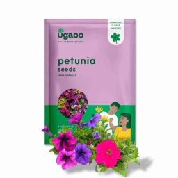 Ugaoo 500g Flower Petunia Mix Seeds, NUFSO065-image-93