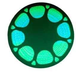 LumoGen Green LED Rope Light, Length: 25 m-43
