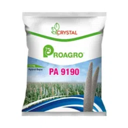 Crystal 1.5 kg Grain Millet Seed, 9190-picture-18