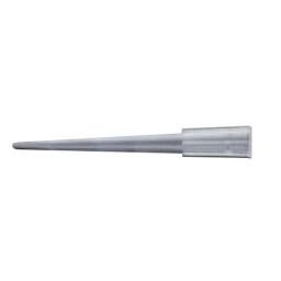 Glassco 24/40 Boro 3.3 Glass Adapter, 341.470.05A (Pack of 2)-41
