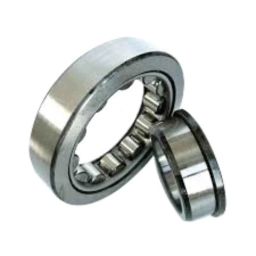 ARB 25x62x17mm Cylindrical Roller Bearing, NU-305 (Pack of 5)-picture-42
