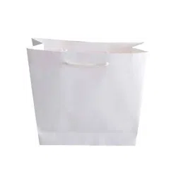 PRB Bags White Small Packaging Paper Bag (Pack of 100)-image-55