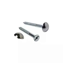 B K Jagan &a; Co 3/4 inch Mirror Screw Self Tapping with Button Brass (Pack of 25)-picture-16