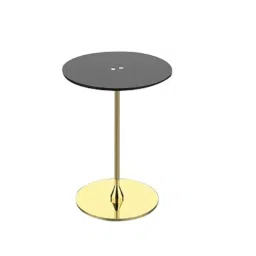 Classic Concepts 15 inch Black &a; Gold Acrylic Podium Side Table for Conference &a; Seminar, CCP057S-image-84
