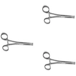 Forgesy Stainless Steel Allis Tissue Forceps, FORGESY212 (Pack of 3)-image-13