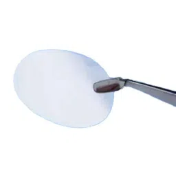 Whatman 142mm Nuclepore Hydrophilic Membrane, 10418731-33
