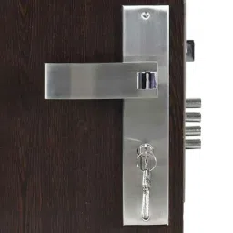 Homexpert Vespa 10 inch 60mm Stainless Steel Silver Cylindrical Plate Both Side Key Mortise Door Lock Set-image-35