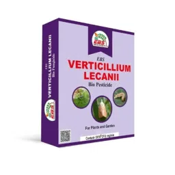 EBS 1kg Verticillium Lecanii Bio Pesticide for Control Aphid &a; Whiteflies (Pack of 10)-image-32