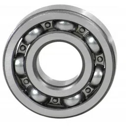 Tata 15mm Deep Groove Ball Bearing, 6002C0S-picture-11
