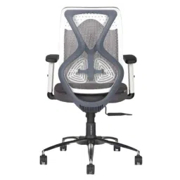 HUMAN METHOD DELIGHT MB Medium Back Steel White &a; Grey Executive Chair with Adjustable Lumber Support, HMDL02-PR12-image-54