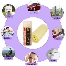 AllExtreme EXSCT1M Clean Cham-17